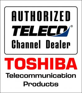 Auth CDealer Color300 265x300 - Toshiba DK Series